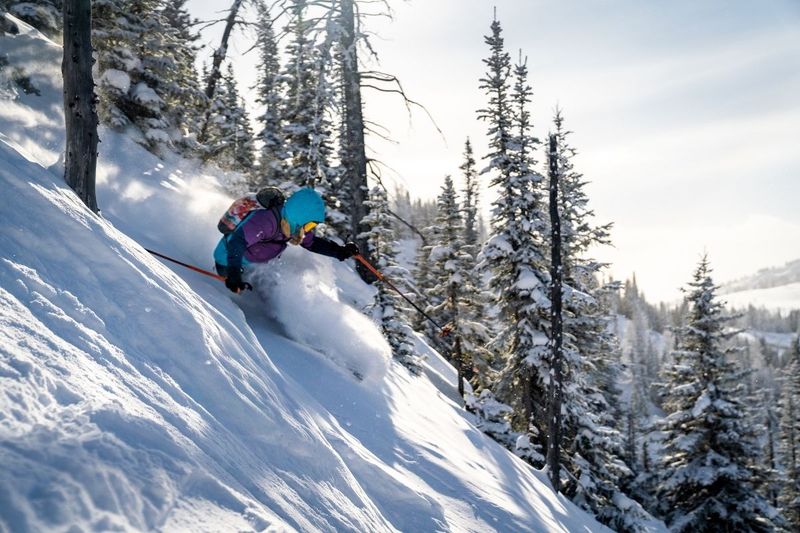 02 Steeps Jill Scarpato