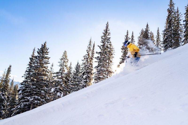 14 Steeps Jill Scarpato