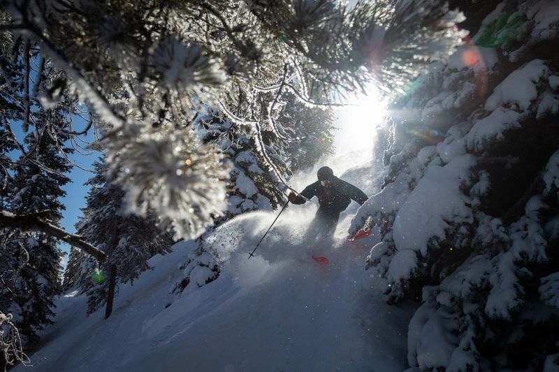 08 the Best Glades and Tree Runs at Ski Big3 Dan Evans