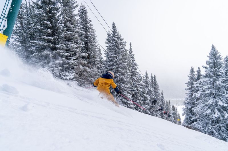 04 March Break in Banff National Park Jill Scarpato