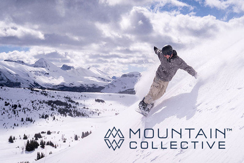 738cfaec 3798 4b53 B8e4 60564fa339c5.jpg