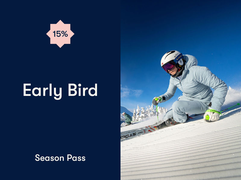 Early Bird Banner