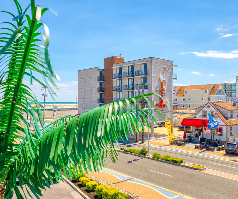 A view of a street with buildings and a palm tree in the foreground.
