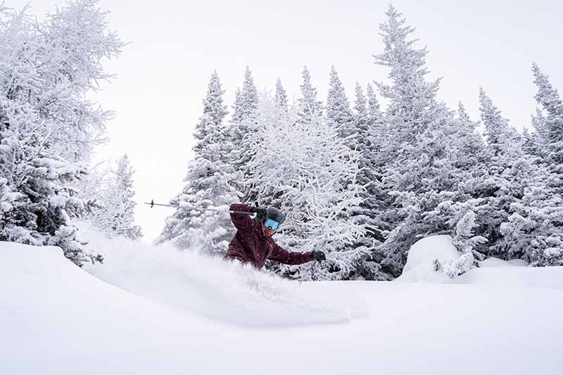 Skier carving through deep powder in a snow-covered glade at Lake Louise Ski Resort