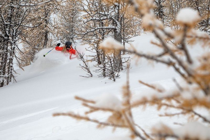 06 the Best Glades and Tree Runs at Ski Big3 Dan Evans