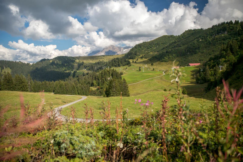 CTA Hike View of landscape and liaison Villars-Diablerets summer