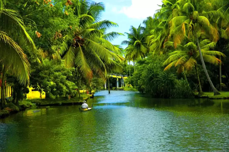 Kerala Itinerary: A Journey Through God's Own Country