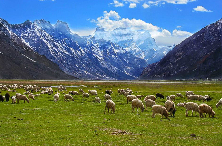 Ladakh Itinerary: A High-Altitude Adventure in the Land of High Passes