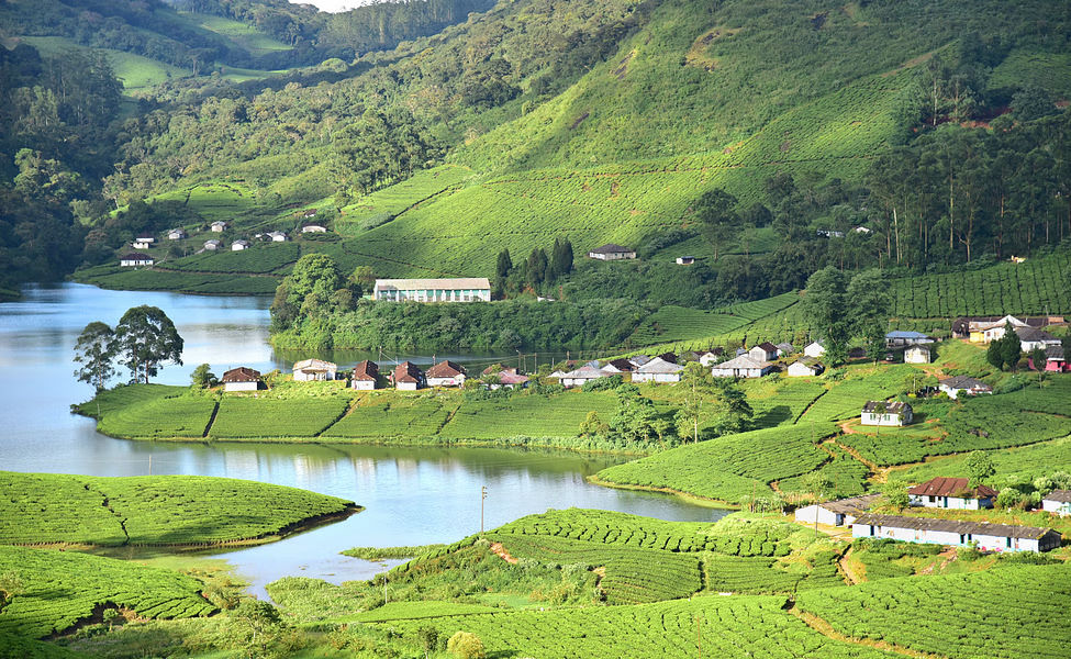 5-Star Hotels for Your Luxurious Munnar Getaway