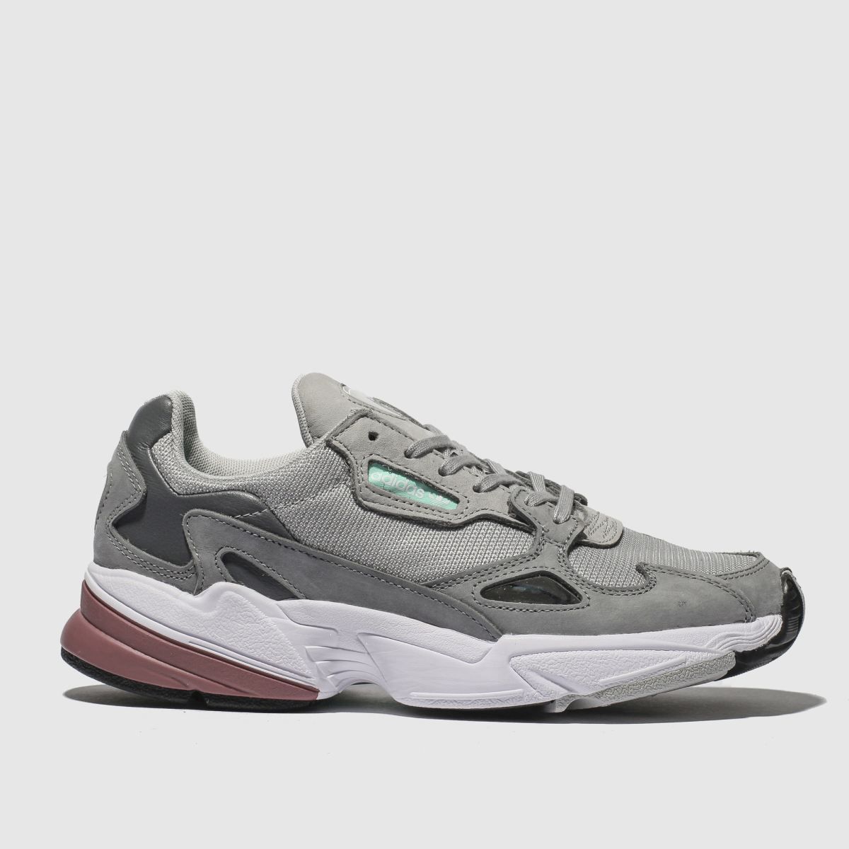 grey falcon trainers