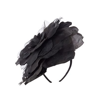 coast hats and fascinators