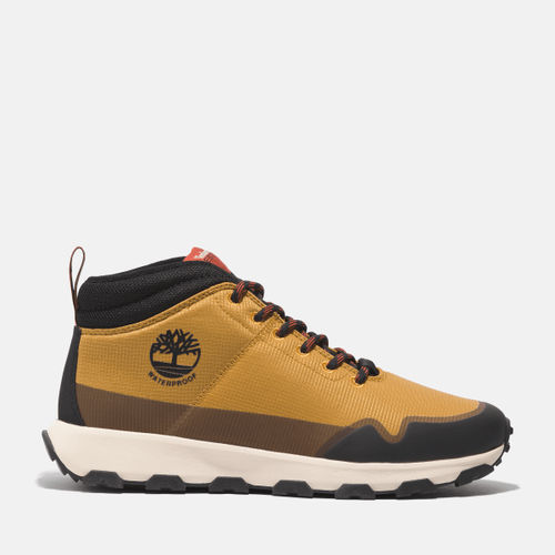 Timberland - Winsor Trail...