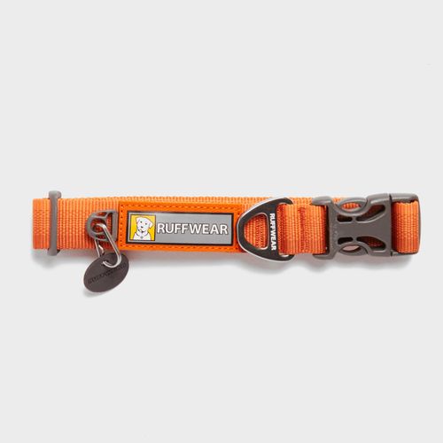 Front Range Dog Collar Orange