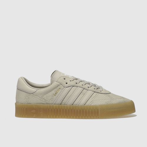 ropa interior templo esconder Adidas Beige Sambarose Trainers | Compare | Cabot Circus