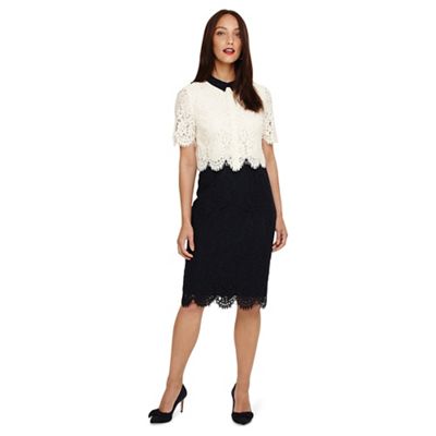 phase eight navy and cream dress