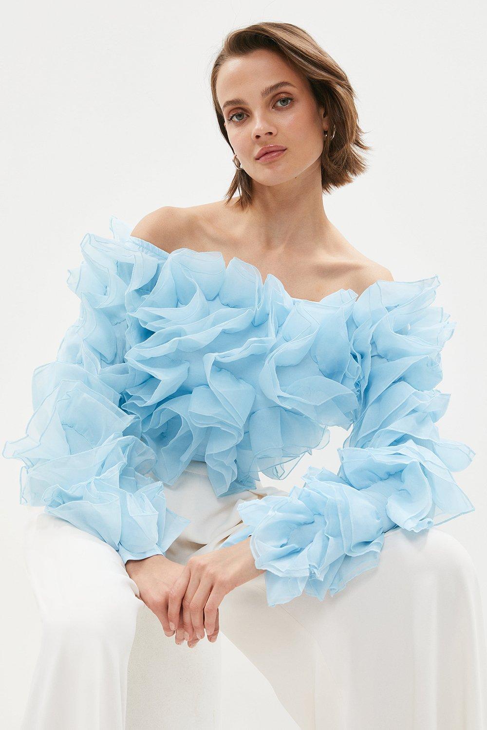 Coast ruffle organza top hotsell