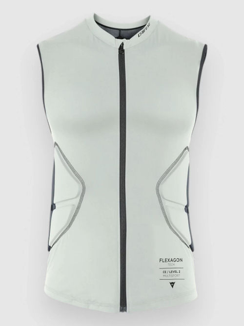 Dainese Flexagon Back...