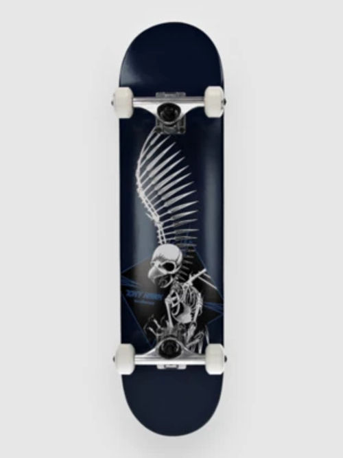 Birdhouse Full Skull 2 7.5"...