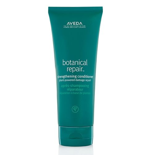 Aveda Botanical Repair ...