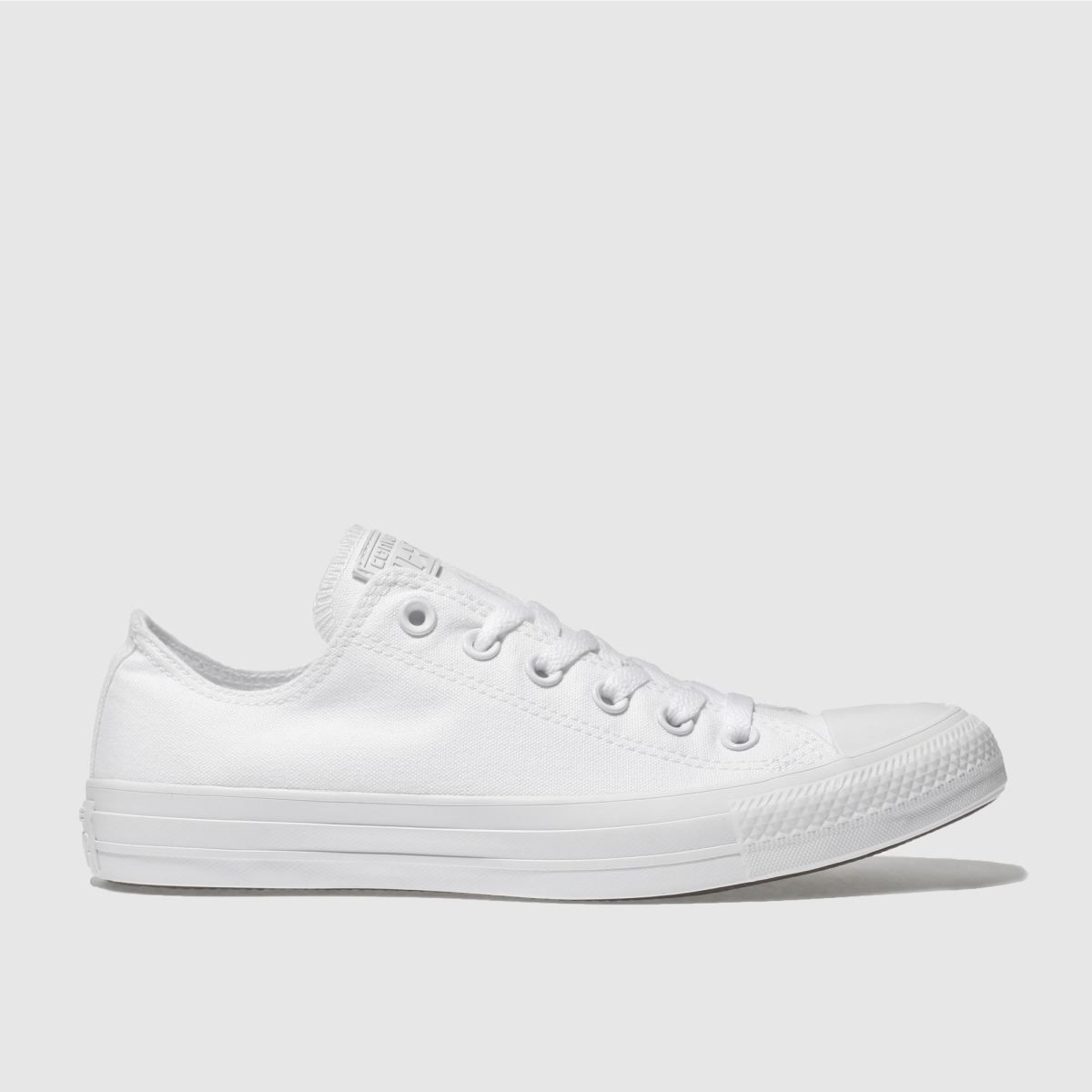 converse white monochrome 500