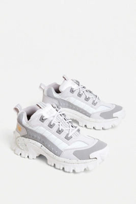 cat intruder pirate black