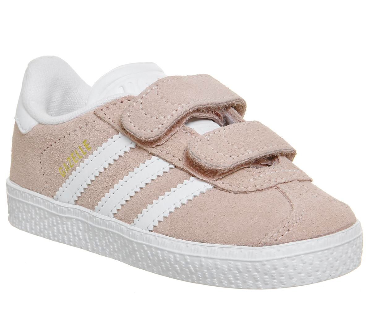 infant grey gazelles