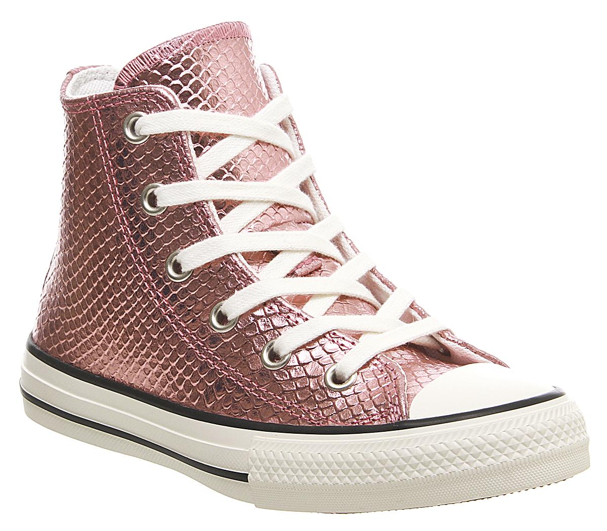 office dinosaur converse