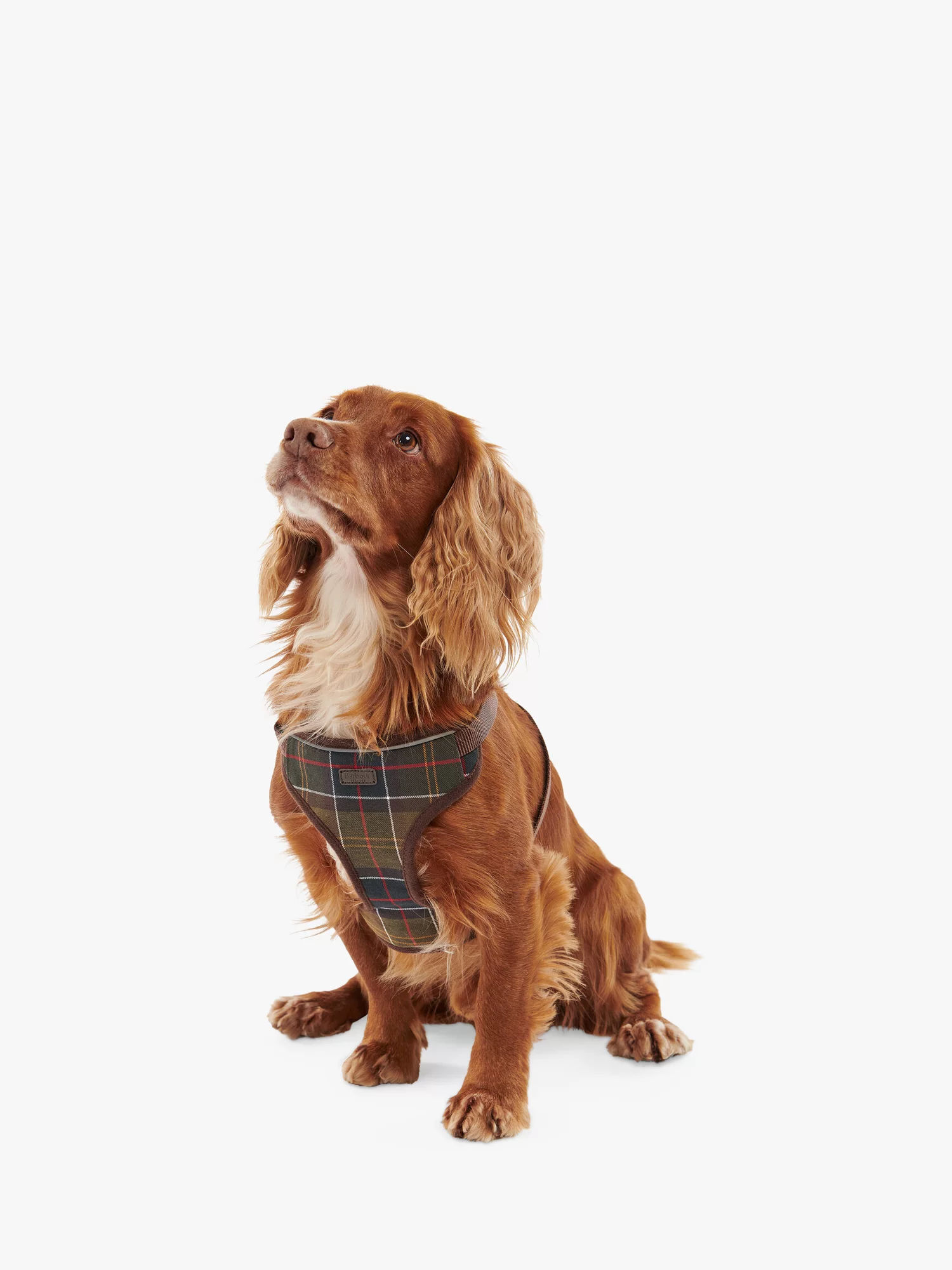 barbour reflective tartan dog collar