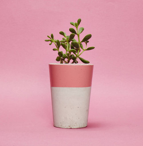 Concrete Pot Tall With...