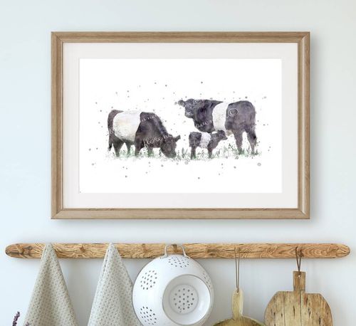 Belted Galloway Cow Print