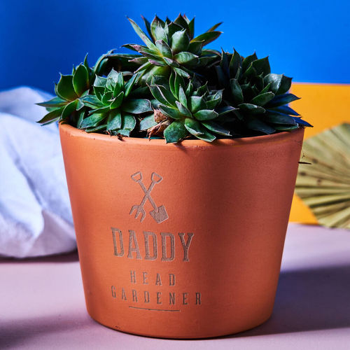 Personalised Terracotta Plant...