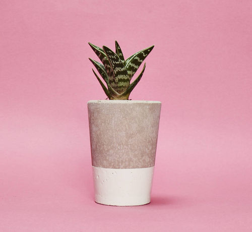 Concrete Pot Tall With...