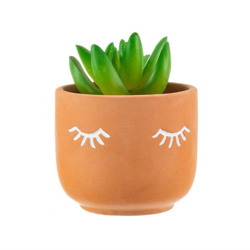 Terracotta Eye Shut Planter...