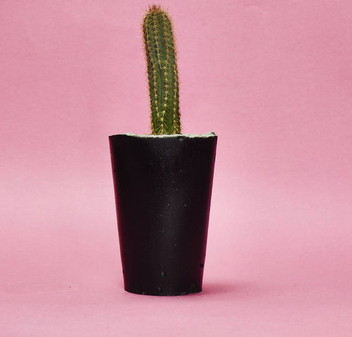 Concrete Pot Tall With...