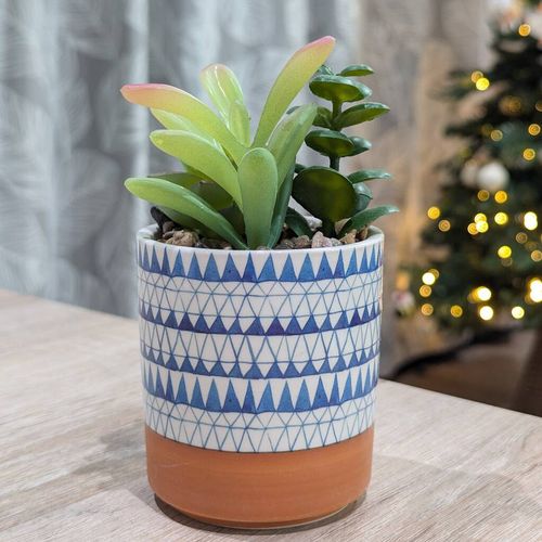 Faux Succulent In Ceramic Pot