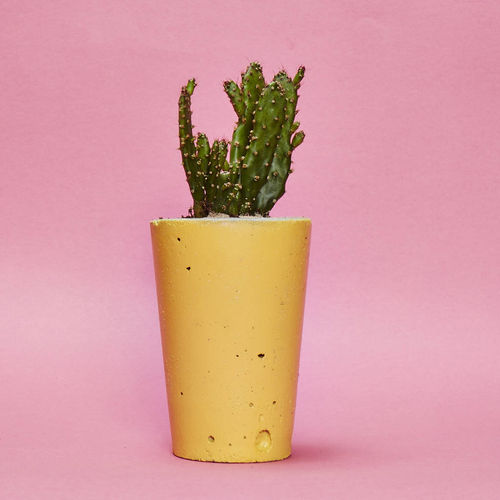 Concrete Pot Tall With...