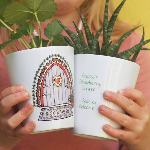Strawberry Fairy Door Plant Pot With Strawberry Seeds, Multi-Coloured