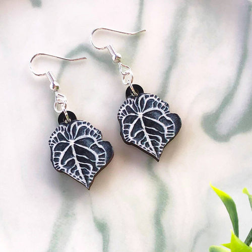 Anthurium Clarinervium Leaf...