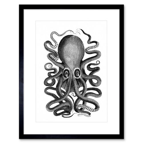 Vintage Octopus Black White...