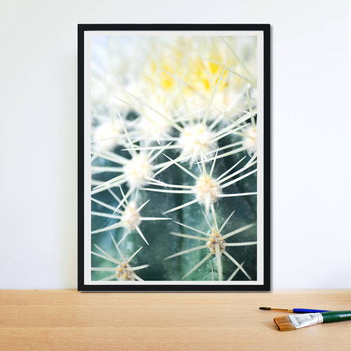 Framed Cactus Photograpahy...