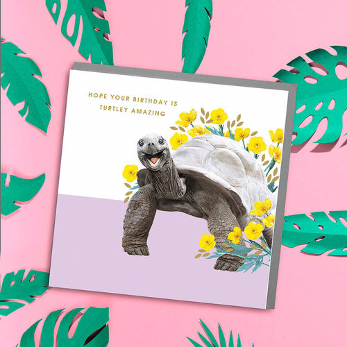 Turtle Happy Birthday Card