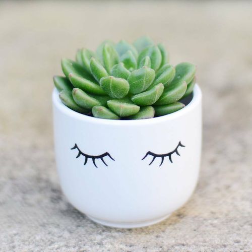 Smiley Face Planter With A...