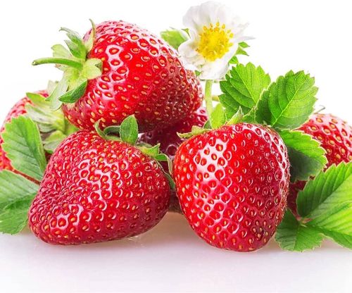 Strawberry Plants 'Elegance' Six X Full Plants | £24.95 | Mirror Online