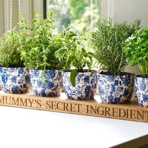 Personalised Indoor Herb...
