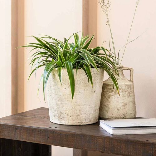 Waterhall Plant Pot, Cream