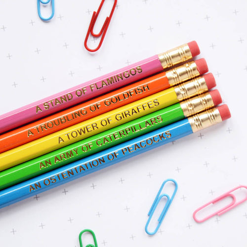 Colourful Animal Nouns Pencil...