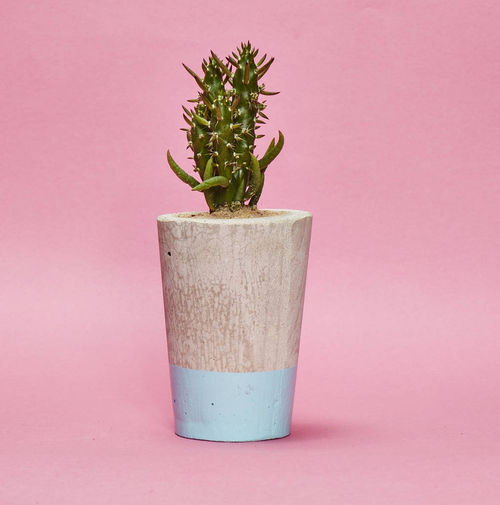 Concrete Pot Tall With...