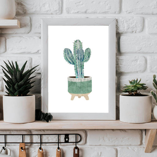 Scandi Boho Cactus Plant Wall...