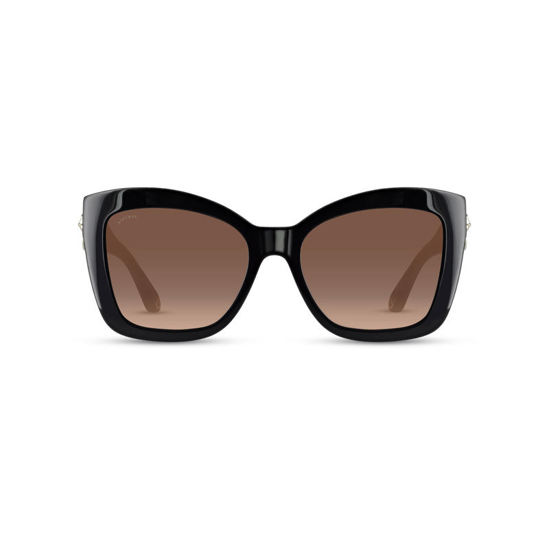 Aspinal of London Ladies Amalfi Sunglasses Black Acetate