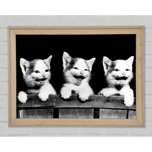 Laughing Kittens - Print